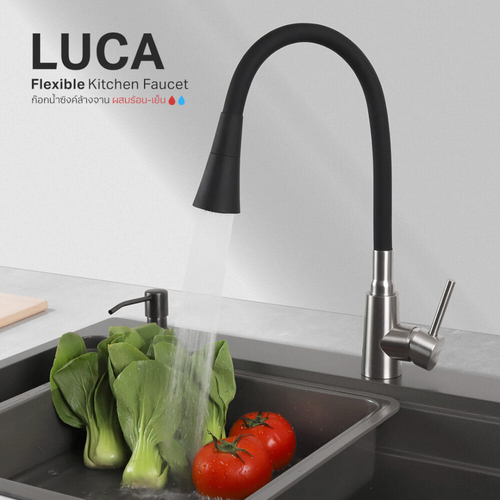 ก๊อกซิงค์สำหรับอ่างล้างจาน EVE LUCA สเตนเลส 30 ซม. สีดำ-เงิน
